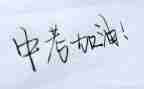 市中考工作总结5篇