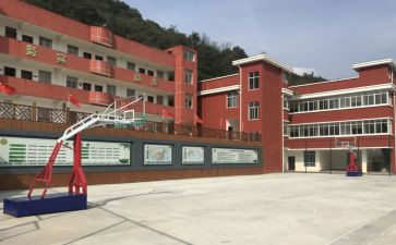 中心校校长述职报告范文8篇