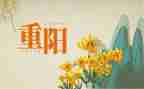 村重阳节活动总结模板7篇
