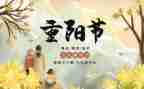 重阳节活动总结及反思8篇