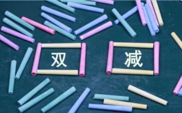 书记抓工作总结模板5篇