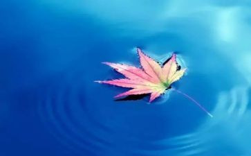 自然优秀作文6篇