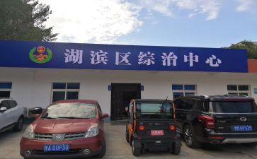 导综治安全工作总结7篇