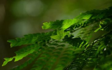 党的宗旨心得体会6篇