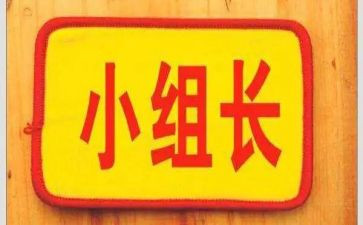 大组长工作总结参考8篇