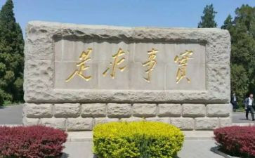 我为青年做实事活动总结7篇